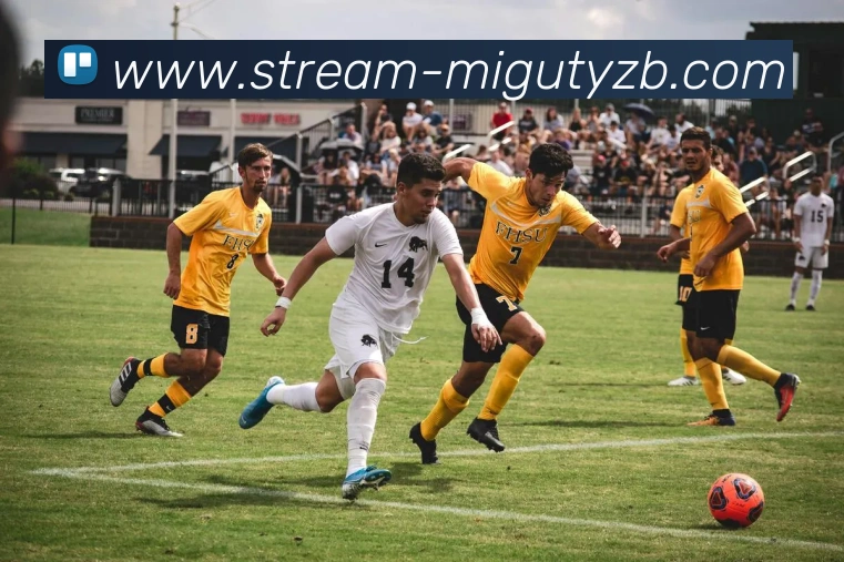 咪咕体育直播服务体系